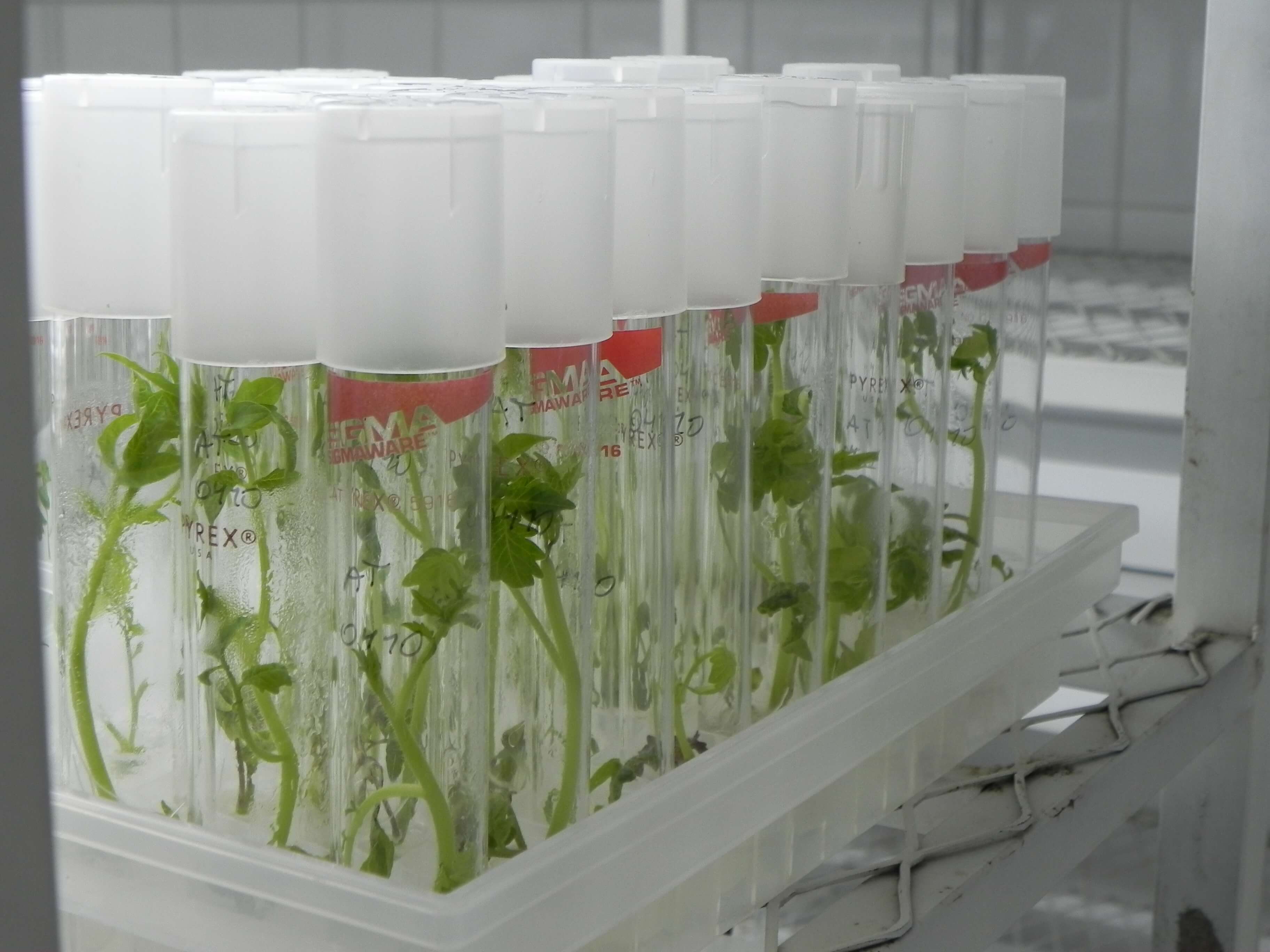 Innovación tecnológica